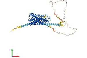 AlphaFold protein structure predicition of Mouse Recombinant Chrm4 Protein, UniprotID P32211