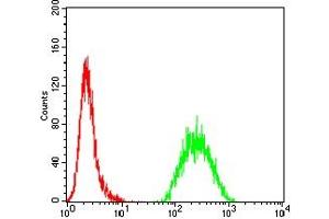 Flow cytometric analysis of Hela cells using MSH6 mouse mAb (green) and negative control (red).