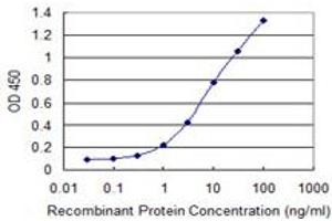 Detection limit for recombinant GST tagged VGLL1 is 0. (VGLL1 antibody  (AA 1-100))