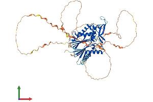 AlphaFold protein structure predicition of Human Recombinant PPM1D Protein, UniprotID O15297 (PPM1D Protein (AA 1-605) (His tag))