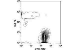 Flow Cytometry (FACS) image for anti-Chemokine (C-C Motif) Receptor 3 (CCR3) antibody (PE) (ABIN2663118) (CCR3 antibody  (PE))