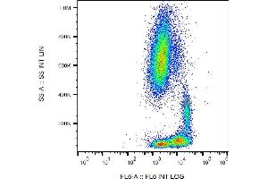 Flow cytometry analysis (surface staining) of human peripheral blood with anti-human CD29 (MEM-101A) APC. (ITGB1 antibody  (APC))