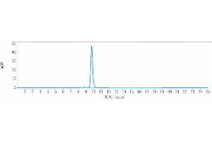 anti-CD38 (Felzartamab Biosimilar) antibody