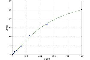 Relaxin/insulin-Like Family Peptide Receptor 1 (RXFP1) ELISA Kit