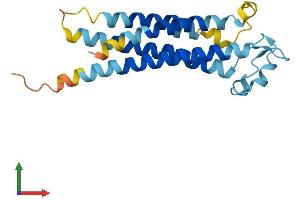 AlphaFold protein structure predicition of Human Recombinant TM4SF18 Protein, UniprotID Q96CE8
