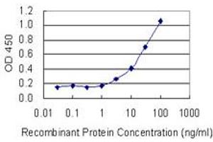 Detection limit for recombinant GST tagged FUBP3 is 0. (FUBP3 antibody  (AA 152-261))