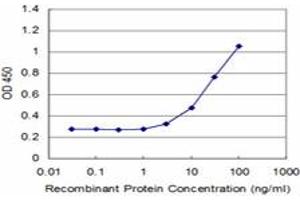 Detection limit for recombinant GST tagged ZNF70 is approximately 3ng/ml as a capture antibody. (ZNF70 antibody  (AA 1-446))