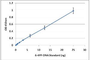 6-4PP-DNA Standard Curves (UV-Induced DNA Damage ELISA Kit)