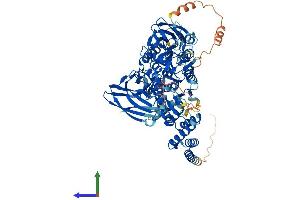 Protein Structure (PS) image for F-Box Protein 11 (FBXO11) (AA 1-845) protein (His tag) (ABIN7552280)