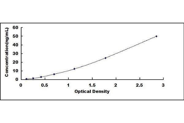 CYP3A7 ELISA Kit