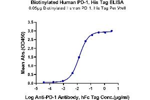 Immobilized Biotinylated Human PD-1, His Tag at 0. (PD-1 Protein (AA 25-167) (His-Avi Tag,Biotin))