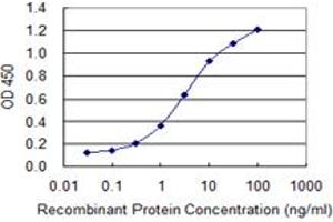 ELISA image for anti-Small Ubiquitin Related Modifier Protein 1 (SUMO1) (AA 1-101) antibody (ABIN948607)