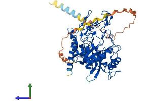 AlphaFold protein structure predicition of Human Recombinant MANEAL Protein, UniprotID Q5VSG8 (MANEAL Protein (AA 1-457) (His tag))