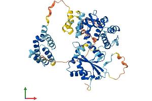 AlphaFold protein structure predicition of Mouse Recombinant Fastk Protein, UniprotID Q9JIX9 (FASTK Protein (AA 1-511) (His tag))