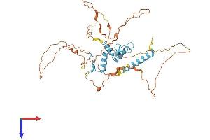 KLF17 Protein (AA 1-389) (His tag)