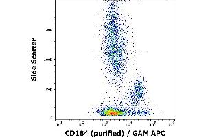 Flow cytometry surface staining pattern of human peripheral whole blood stained using anti-human CD184 (12G5) purified antibody (concentration in sample 0,33 μg/mL) GAM APC. (CXCR4 antibody)