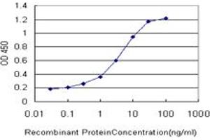 Detection limit for recombinant GST tagged KDR is approximately 0. (VEGFR2/CD309 antibody  (AA 31-130))