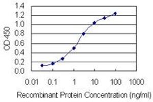 Detection limit for recombinant GST tagged PLRG1 is 0. (PLRG1 antibody  (AA 101-198))