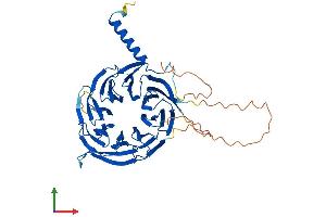 Protein Structure (PS) image for WD Repeat Domain 41 (WDR41) (AA 1-459) protein (His tag) (ABIN7545187)