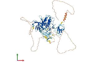 Protein Structure (PS) image for Doublecortin-Like Kinase 2 (DCLK2) (AA 1-766) protein (His tag) (ABIN7553623)