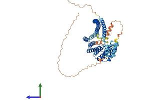 AlphaFold protein structure predicition of Mouse Recombinant Klc3 Protein, UniprotID Q91W40 (KLC3 Protein (AA 1-508) (His tag))
