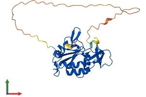 AlphaFold protein structure predicition of Human Recombinant CTDSP1 Protein, UniprotID Q9GZU7