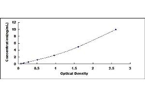 Typical standard curve (TRKB ELISA Kit)