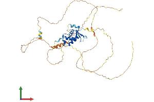 AlphaFold protein structure predicition of Mouse Recombinant Foxd4 Protein, UniprotID Q60688 (FOXD4 Protein (AA 1-444) (His tag))