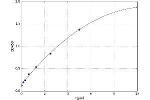 A typical standard curve