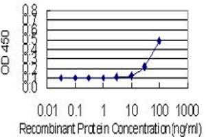 Detection limit for recombinant GST tagged DOCK1 is 10 ng/ml as a capture antibody. (DOCK1 antibody  (AA 698-803))