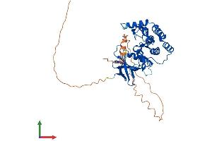 AlphaFold protein structure predicition of Mouse Recombinant Csnk1g3 Protein, UniprotID Q8C4X2 (CSNK1G3 Protein (AA 1-424) (His tag))