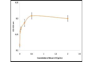 Activity Assay (AcA) image for Interleukin 25 (IL25) (Active) protein (ABIN5509409) (IL-25 Protein)