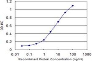 Detection limit for recombinant GST tagged ZNF461 is 0. (ZNF461 antibody  (AA 121-218))