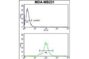 Flow cytometry analysis of MDA-MB231 cells (bottom histogram) compared to a negative control cell (top histogram). (RPGRIP1 antibody  (AA 530-557))