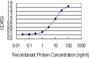 Detection limit for recombinant GST tagged C14orf129 is 0. (GSKIP antibody  (AA 1-139))
