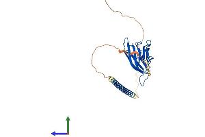 AlphaFold protein structure predicition of Human Recombinant TNFSF13B Protein, UniprotID Q9Y275 (BAFF Protein (AA 1-285) (His tag))