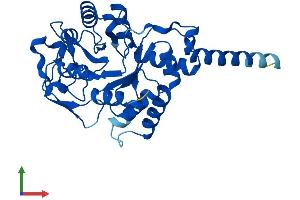 AlphaFold protein structure predicition of Mouse Recombinant Gdpd1 Protein, UniprotID Q9CRY7 (GDPD1 Protein (AA 1-314) (His tag))