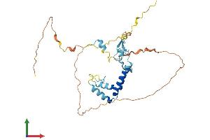 AlphaFold protein structure predicition of Human Recombinant SPRY2 Protein, UniprotID O43597 (SPRY2 Protein (AA 1-315) (His tag))