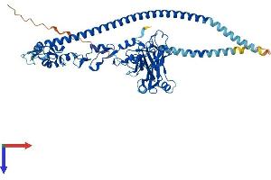 TRAF3 Protein (AA 1-567) (His tag)