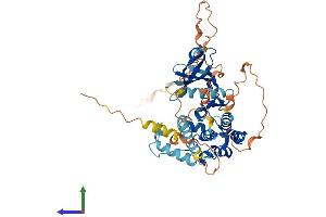 Protein Structure (PS) image for MAP Kinase Interacting serine/threonine Kinase 1 (MKNK1) (AA 1-465) protein (His tag) (ABIN7549486)
