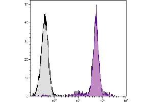 Porcine peripheral blood granulocytes were stained with Mouse Anti-Porcine Monocyte/Granulocyte-PE. (Monocyte/Granulocyte antibody  (FITC))