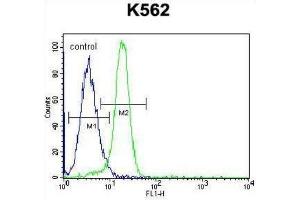 Flow Cytometry (FACS) image for anti-Nemo-Like Kinase (NLK) (Thr286) antibody (ABIN3003279) (Nemo-Like Kinase antibody  (Thr286))