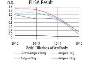 Black line: Control Antigen (100 ng);Purple line: Antigen (10ng); Blue line: Antigen (50 ng); Red line:Antigen (100 ng) (ANAPC11 antibody  (AA 1-196))