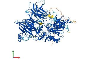 AlphaFold protein structure predicition of Human Recombinant DPP8 Protein, UniprotID Q6V1X1