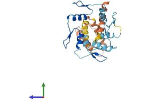 AlphaFold protein structure predicition of Human Recombinant ZNF138 Protein, UniprotID P52744
