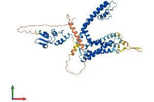 AlphaFold protein structure predicition of Human Recombinant KCNA1 Protein, UniprotID Q09470