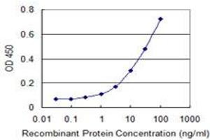 Detection limit for recombinant GST tagged NISCH is 0. (Nischarin antibody  (AA 1246-1345))