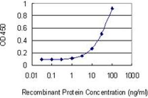Detection limit for recombinant GST tagged PAICS is 1 ng/ml as a capture antibody. (PAICS antibody  (AA 1-425))