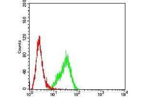 Flow cytometric analysis of Hela cells using NCAM1 mouse mAb (green) and negative control (red). (CD56 antibody)