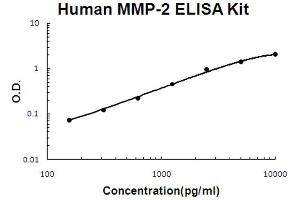 Human MMP-2 Accusignal ELISA Kit Human MMP-2 AccuSignal ELISA Kit standard curve. (MMP2 ELISA Kit)